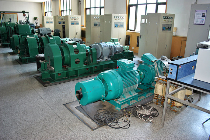 Y4506-6某热电厂使用我厂的YKK高压电机提供动力