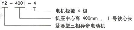 YR系列(H355-1000)高压Y4506-6三相异步电机西安西玛电机型号说明